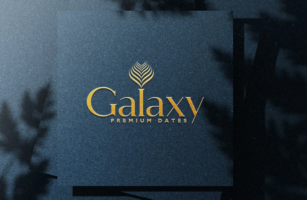 Professional custom logo design by DesignDeus—build a strong brand identity with creative, impactful logos.