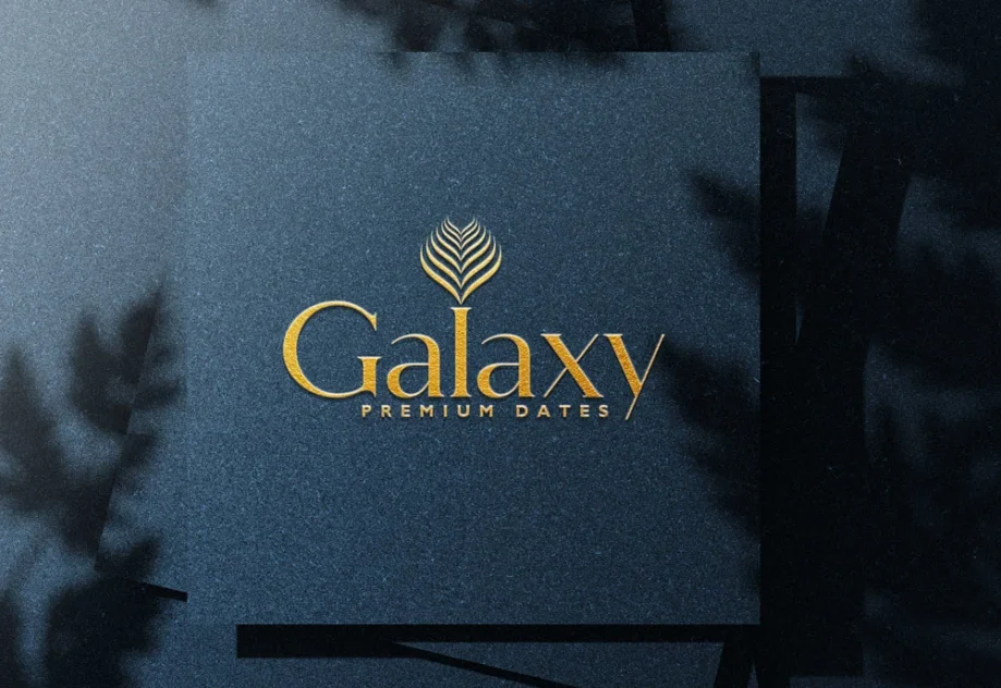 Professional custom logo design by DesignDeus—build a strong brand identity with creative, impactful logos.