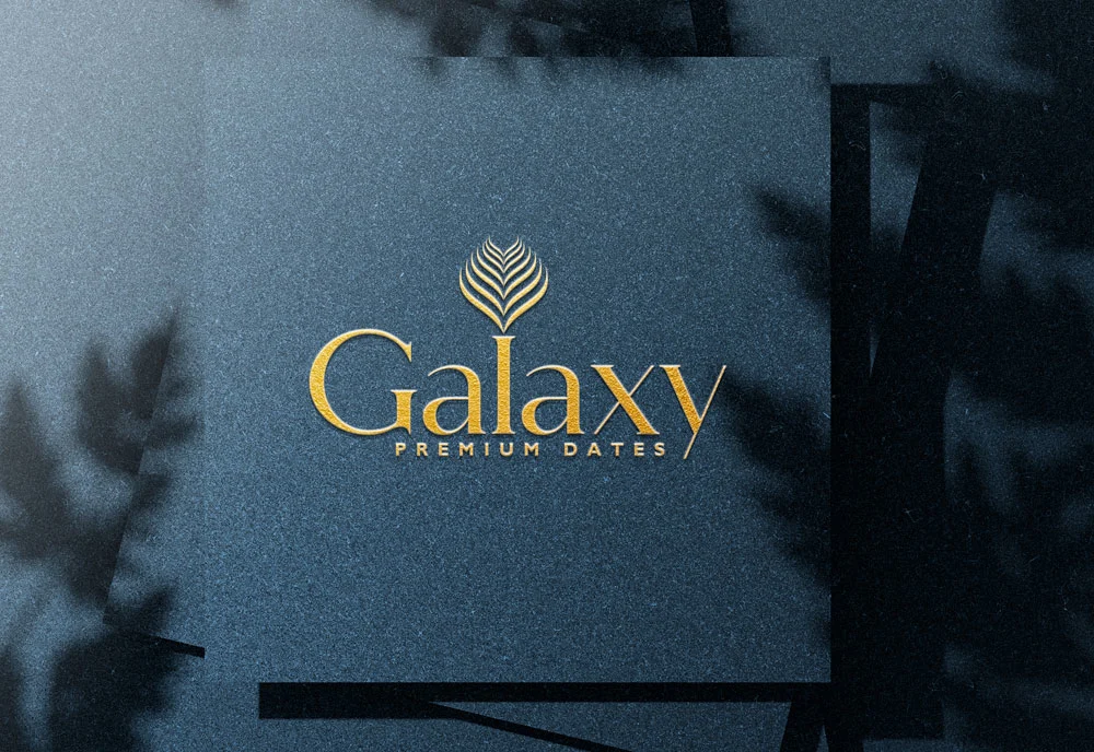 Professional custom logo design by DesignDeus—build a strong brand identity with creative, impactful logos.