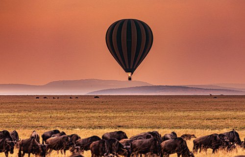 Website redesign & brand refresh for Wildescape Camping & Safari — crafted to build trust, drive bookings, and reflect the wild, premium safari experience Kenya has to offer.
