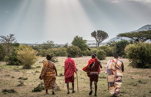 Website redesign & brand refresh for Wildescape Camping & Safari — crafted to build trust, drive bookings, and reflect the wild, premium safari experience Kenya has to offer.